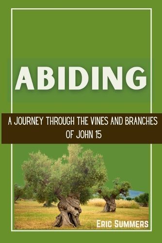 Cover image for Abiding