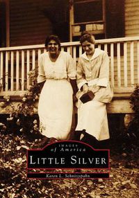 Cover image for Little Silver