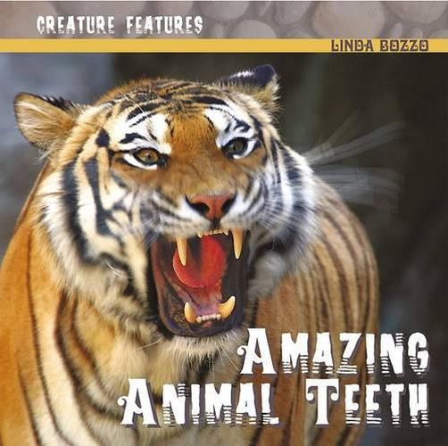 Amazing Animal Teeth