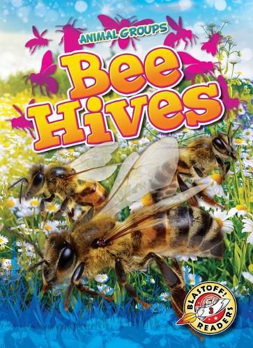 Cover image for Bee Hives