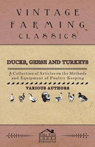 Cover image for Ducks, Geese and Turkeys - A Collection of Articles on the Methods and Equipment of Poultry Keeping