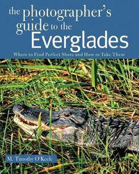 Cover image for The Photographer's Guide to the Everglades: Where to Find Perfect Shots and How to Take Them