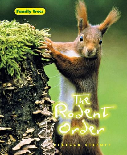 The Rodent Order