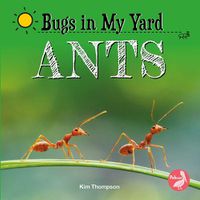 Cover image for Ants