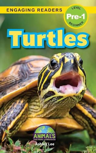Cover image for Turtles