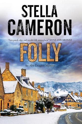 Cover image for Folly