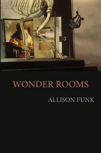 Cover image for Wonder Rooms