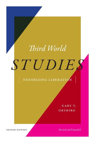 Cover image for Third World Studies