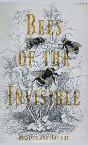 Cover image for Bees of the Invisible