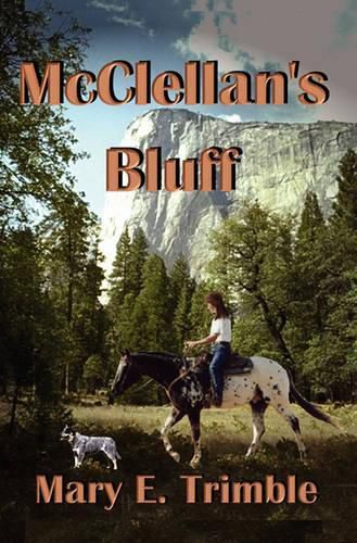 Cover image for McClellan's Bluff