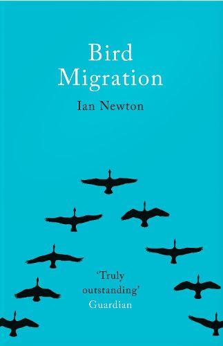 Cover image for Bird Migration