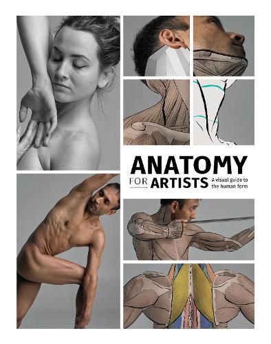 Cover image for Anatomy for Artists: A visual guide to the human form