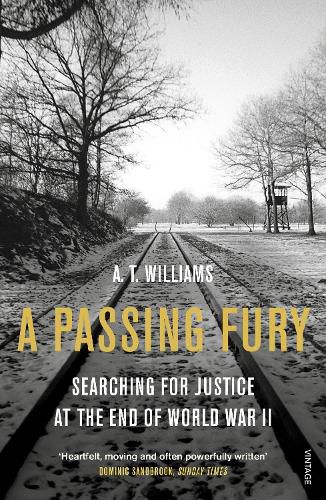 Cover image for A Passing Fury: Searching for Justice at the End of World War II