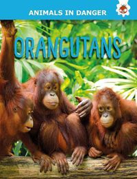 Cover image for Orangutans: Animals In Danger