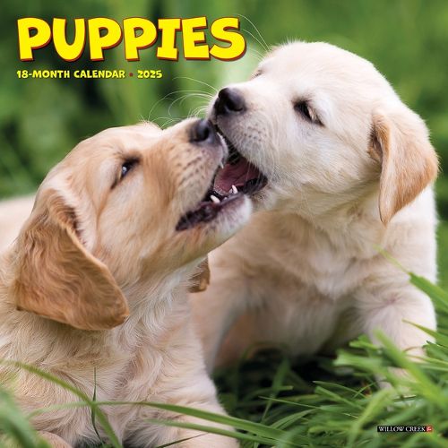 Cover image for Puppies 2026 7 X 7 Mini Wall Calendar