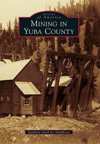 Cover image for Mining in Yuba County