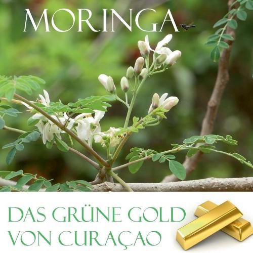 Cover image for Das grune Gold von Curacao: Moringa