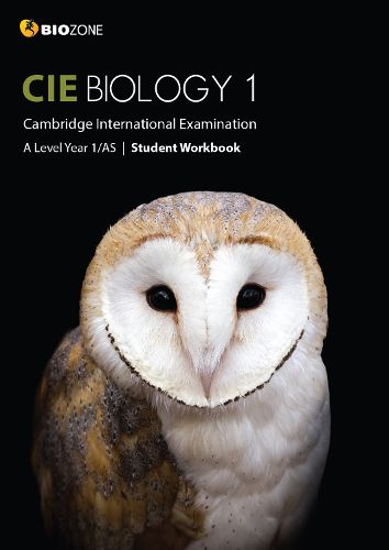 Cover image for Cambridge International AS and A Level Biology Year 1 Student Workbook