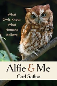 Cover image for Alfie and Me