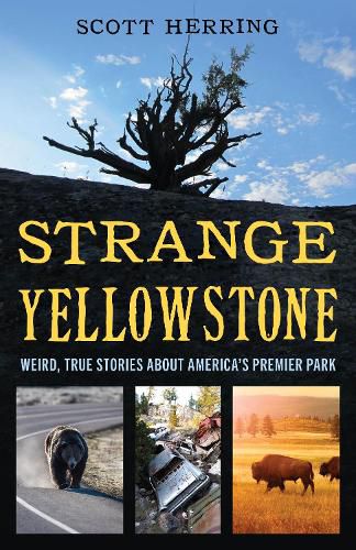 Cover image for Strange Yellowstone