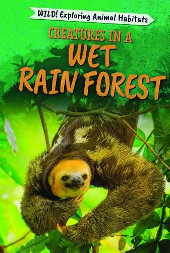 Cover image for Creatures in a Wet Rain Forest