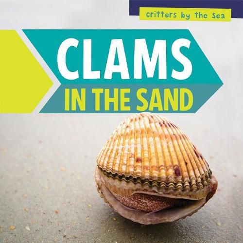 Cover image for Clams in the Sand