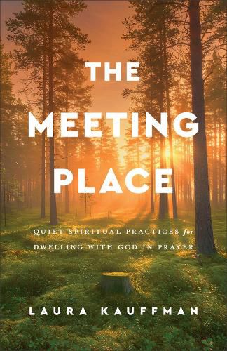 Cover image for The Meeting Place