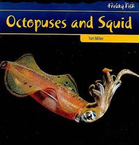 Cover image for Octopuses and Squid