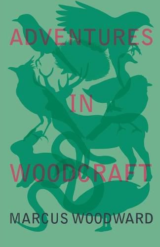 Cover image for Adventures in Woodcraft