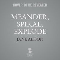 Cover image for Meander, Spiral, Explode: Design and Pattern in Narrative