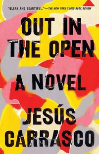 Cover image for Out in the Open: A Novel