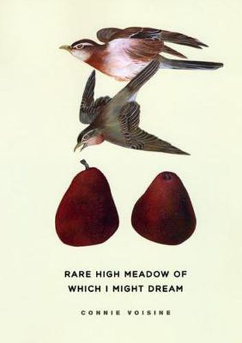 Cover image for Rare High Meadow of Which I Might Dream