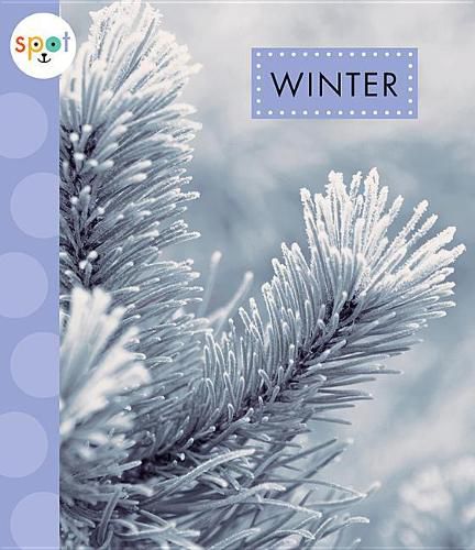 Cover image for Winter