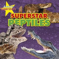 Cover image for Reptile Superstars