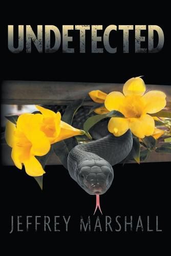 Cover image for Undetected
