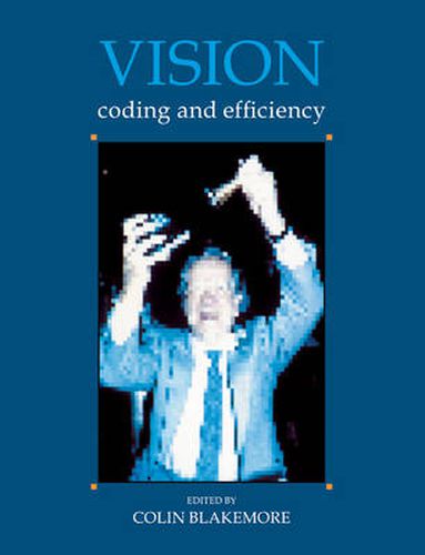 Cover image for Vision: Coding and Efficiency