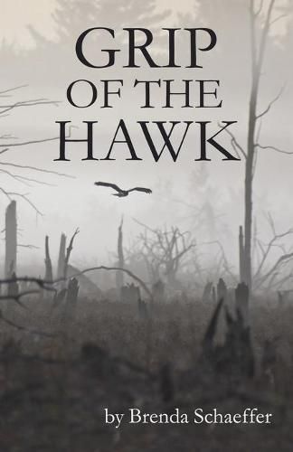 Cover image for Grip Of The Hawk