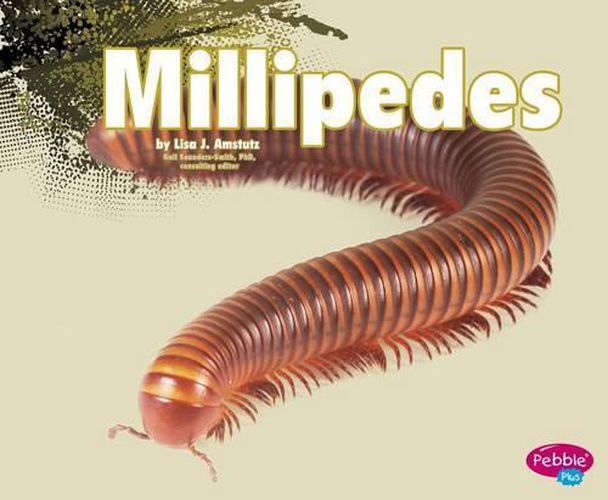 Cover image for Millipedes