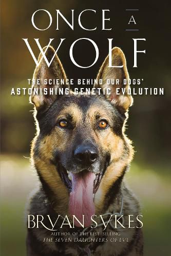 Cover image for Once a Wolf: The Science Behind Our Dogs' Astonishing Genetic Evolution