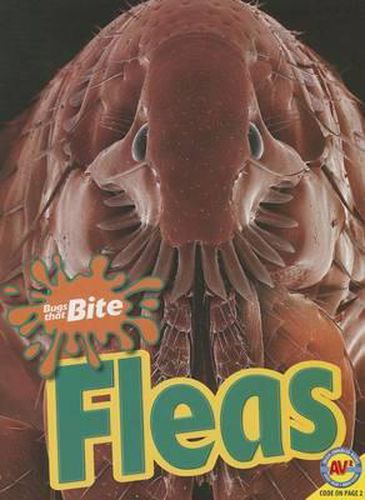 Fleas