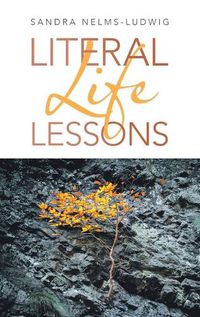 Cover image for Literal Life Lessons