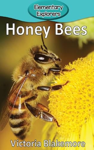 Cover image for Honey Bees