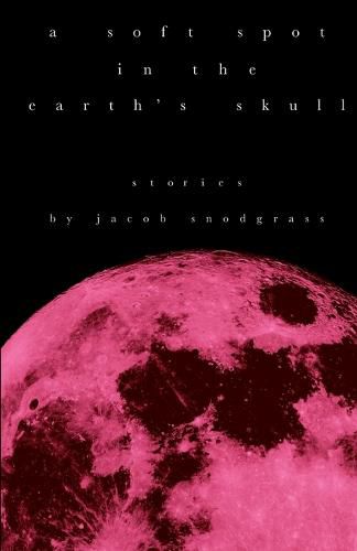 Cover image for A Soft Spot in the Earth's Skull