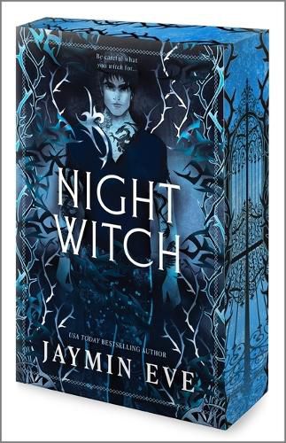 Cover image for Night Witch