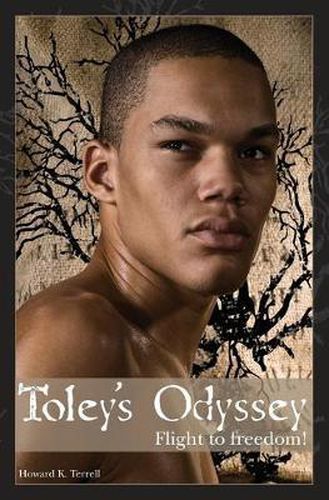 Cover image for Toley's Odyssey: Flight to Freedom