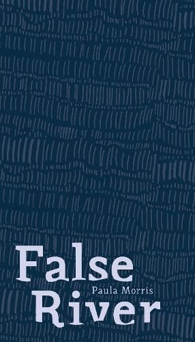 Cover image for False River