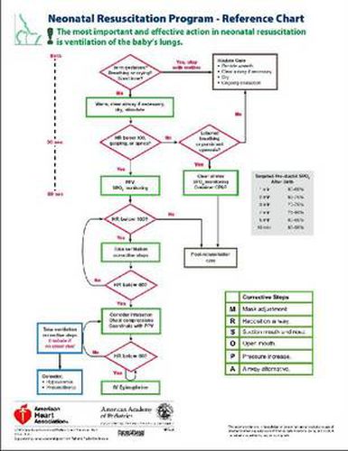 Cover image for NRP Code Chart Card