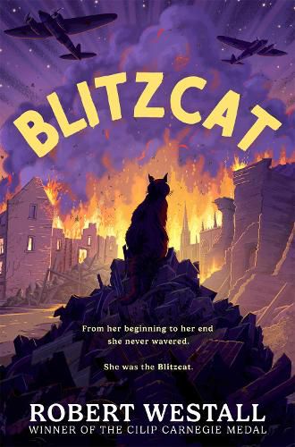 Cover image for Blitzcat
