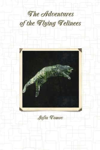 Cover image for The Adventures of the Flying Felinees