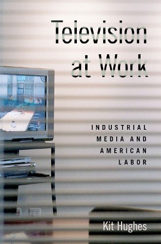 Cover image for Television at Work: Industrial Media and American Labor